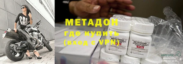 индика Богданович