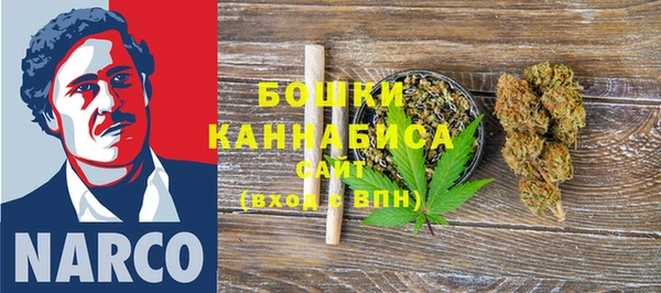 индика Богданович