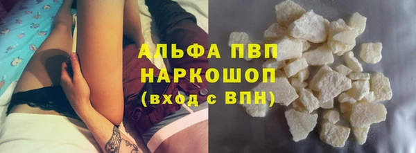 индика Богданович