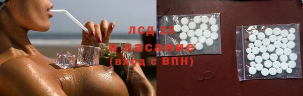 индика Богданович