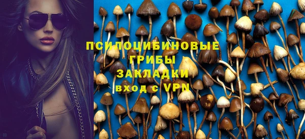 дживик Богородицк