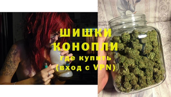 индика Богданович