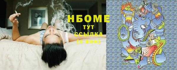 индика Богданович