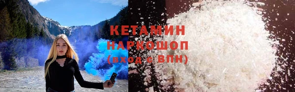 индика Богданович