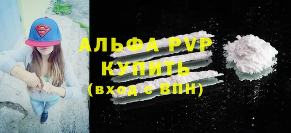 индика Богданович
